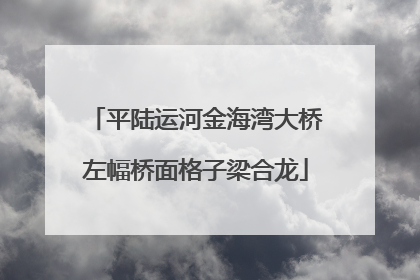 平陆运河金海湾大桥左幅桥面格子梁合龙